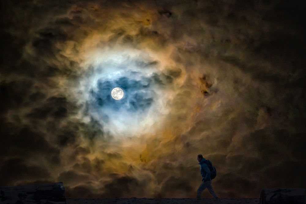 MOON WALKER