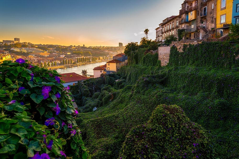 PORTO GARDENS