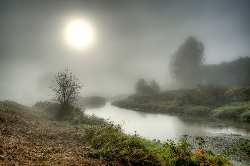 MISTY CREEK