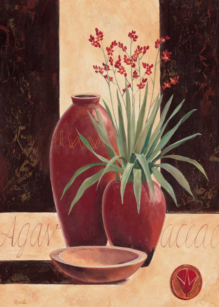 Agavacea