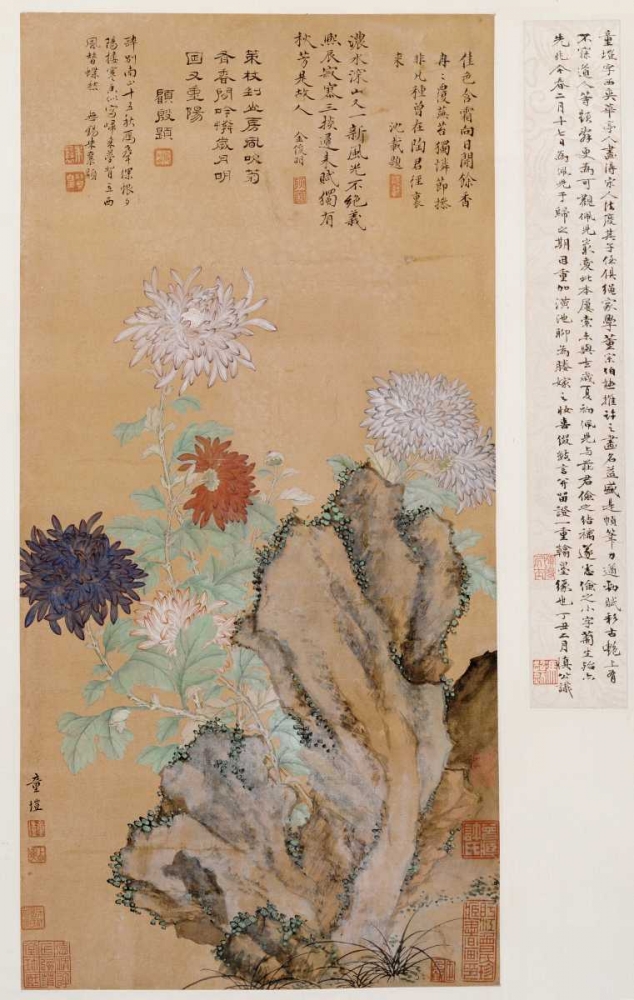Flowers and Rocks