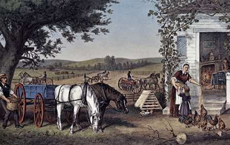 Farm and Fireside