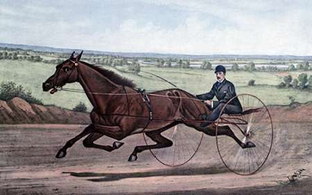 Queen of The Turf Maud S., Driven By W.W. Bair