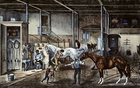 Trotting Cracks at Home a Model Stable