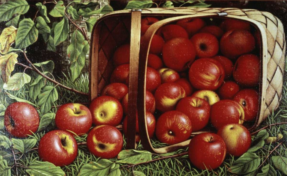 Basket of Apples