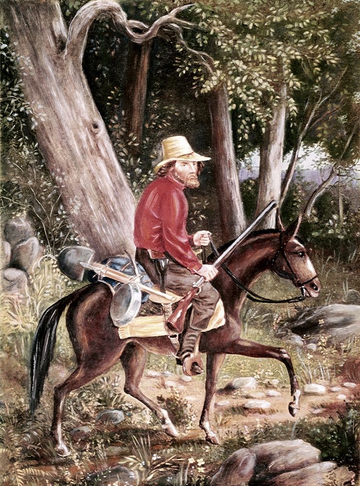 California Gold Miner Going To The Fields