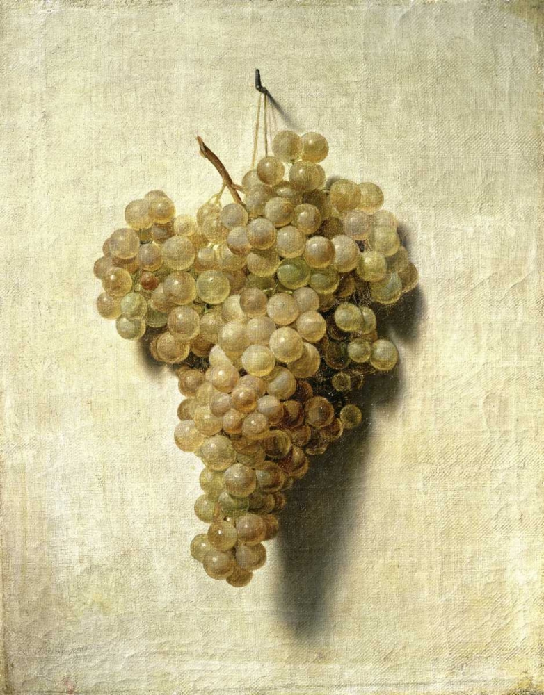 White Grapes - Raisons Blancs