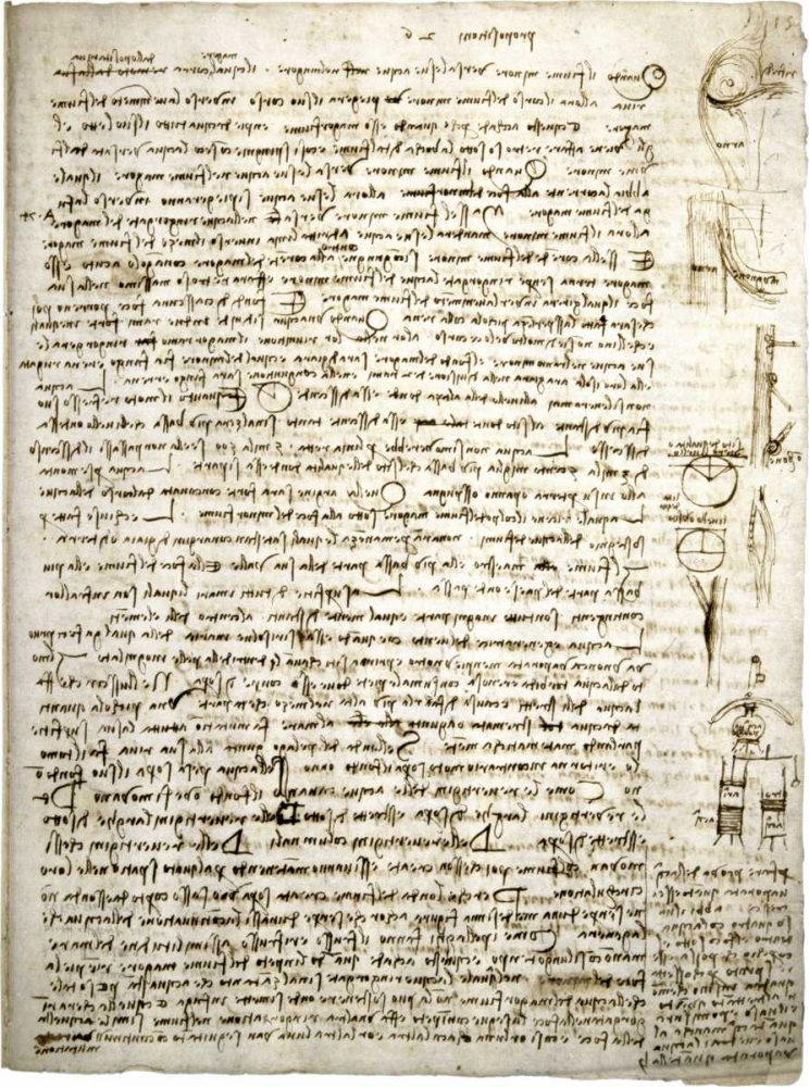 Codex Leicester: River Theories
