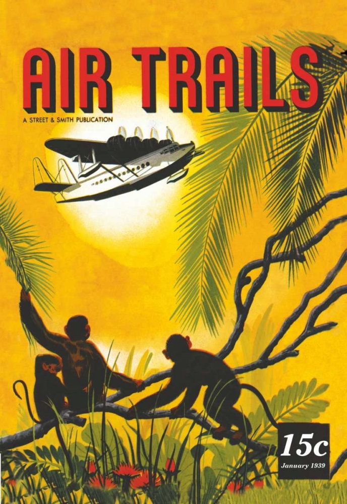 Seaplane Over the Tropics