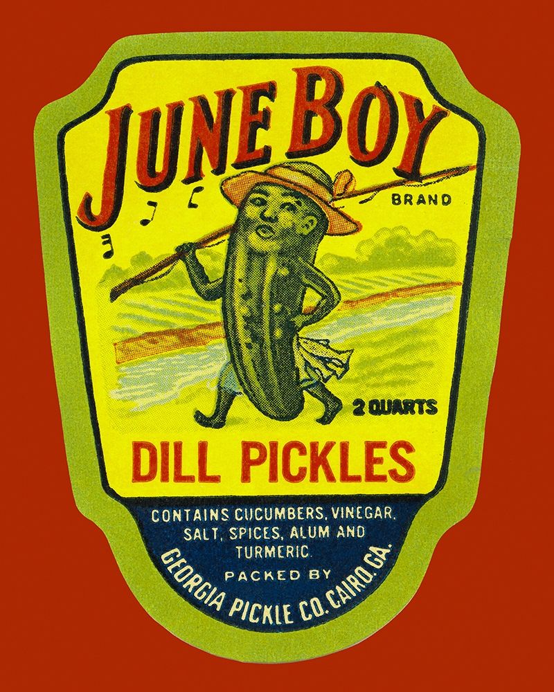 June Boy Dill Pickles