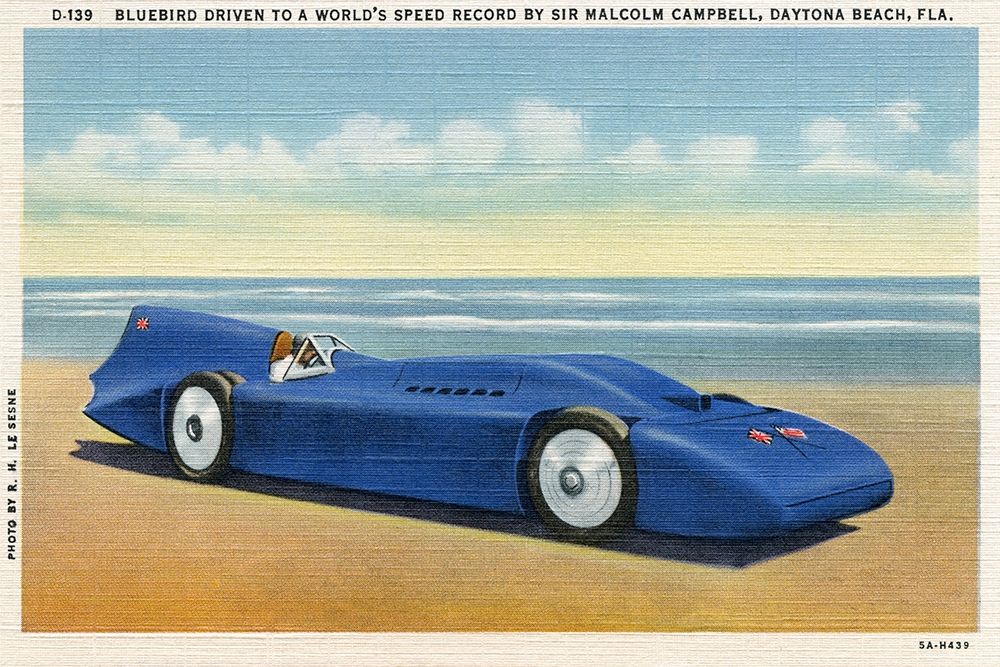 BlueBird 5