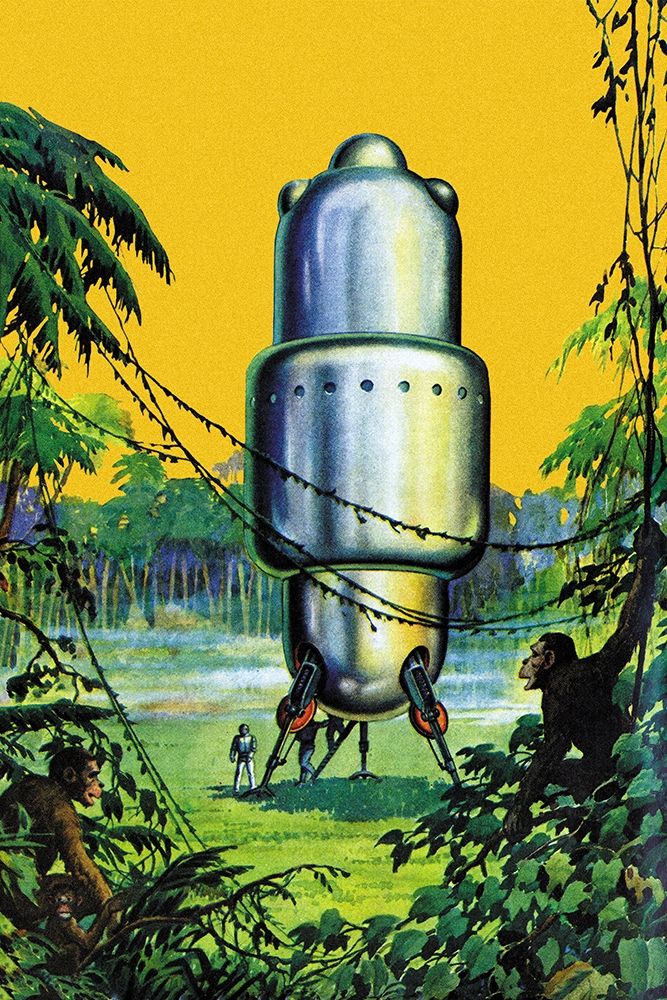 Spaceship in the Jungle