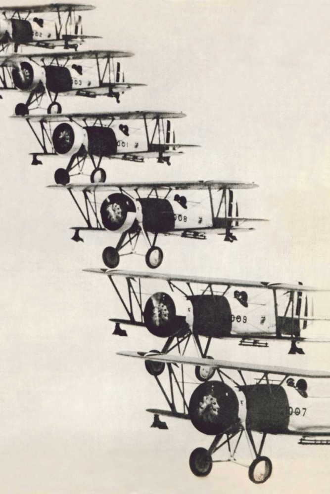 Flying in Formation