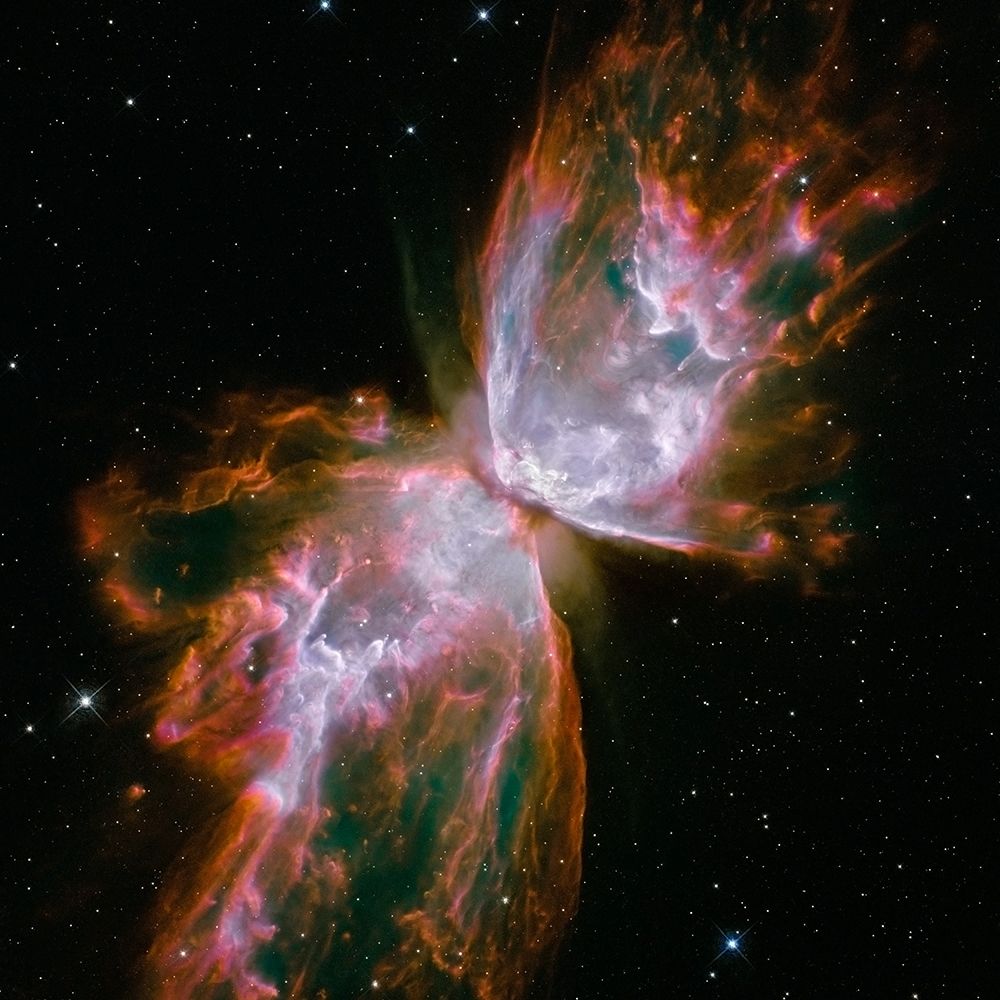 Butterfly Nebula (square)