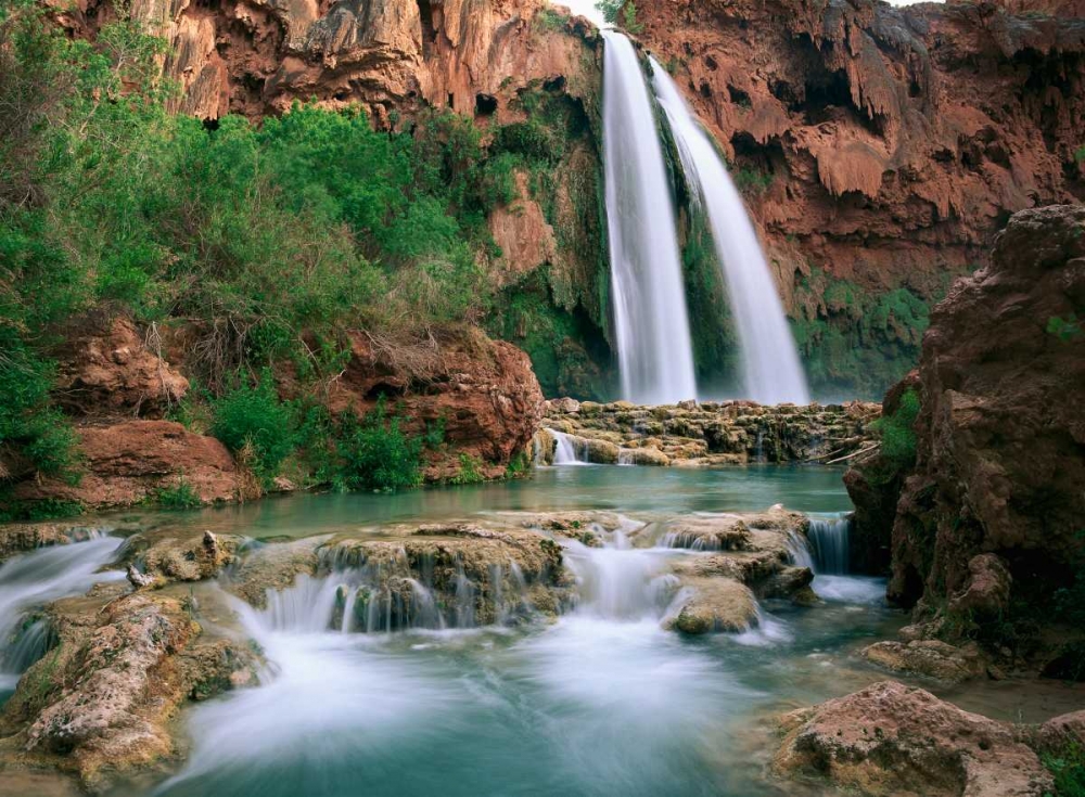 Havasu Creek, lined with Cottonwood trees, Havasu Falls, Grand Canyon, Arizona