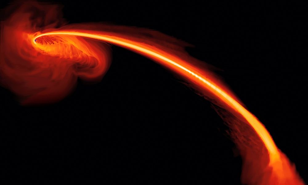 Black Hole Caught Red-handed in a Stellar Homicide