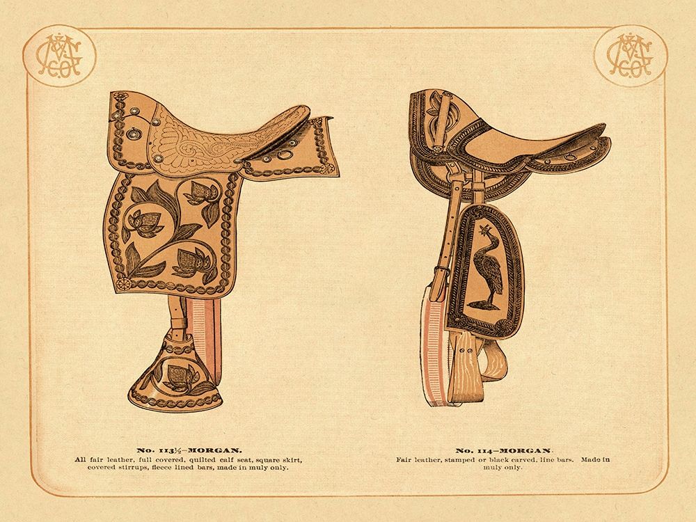Saddles and Tack: Morgan Saddles #2