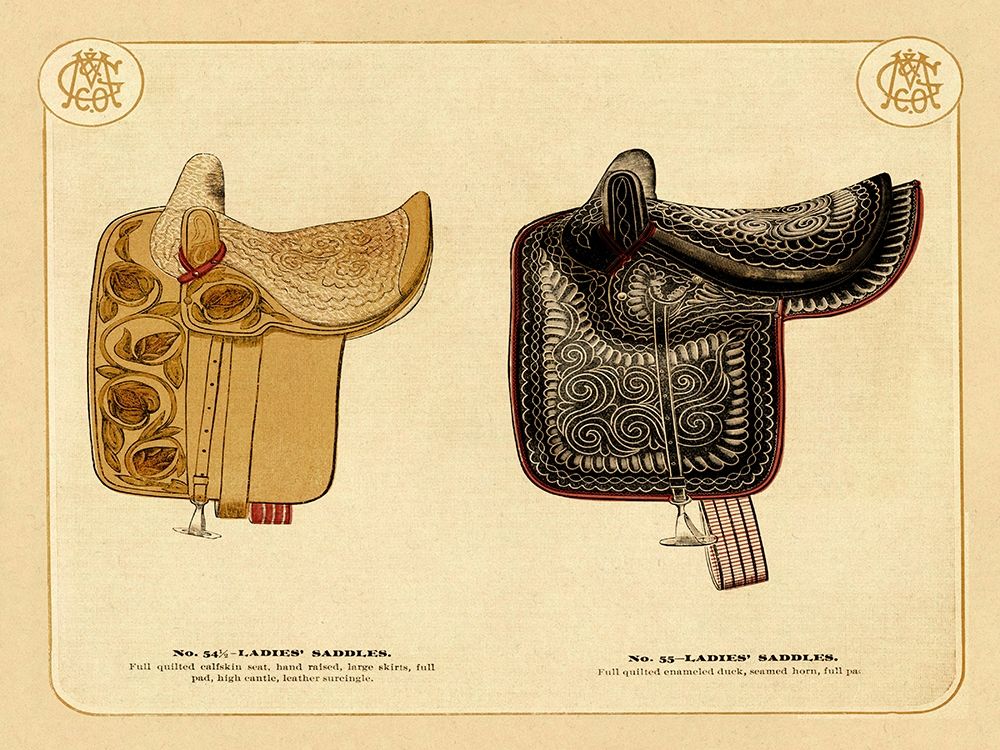 Saddles and Tack: Ladies Saddles #3