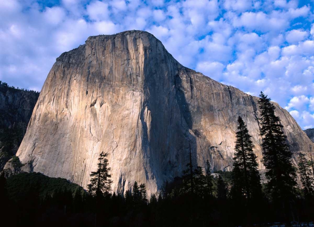 El Capitan rising over the forest, Yosemite National Park, California