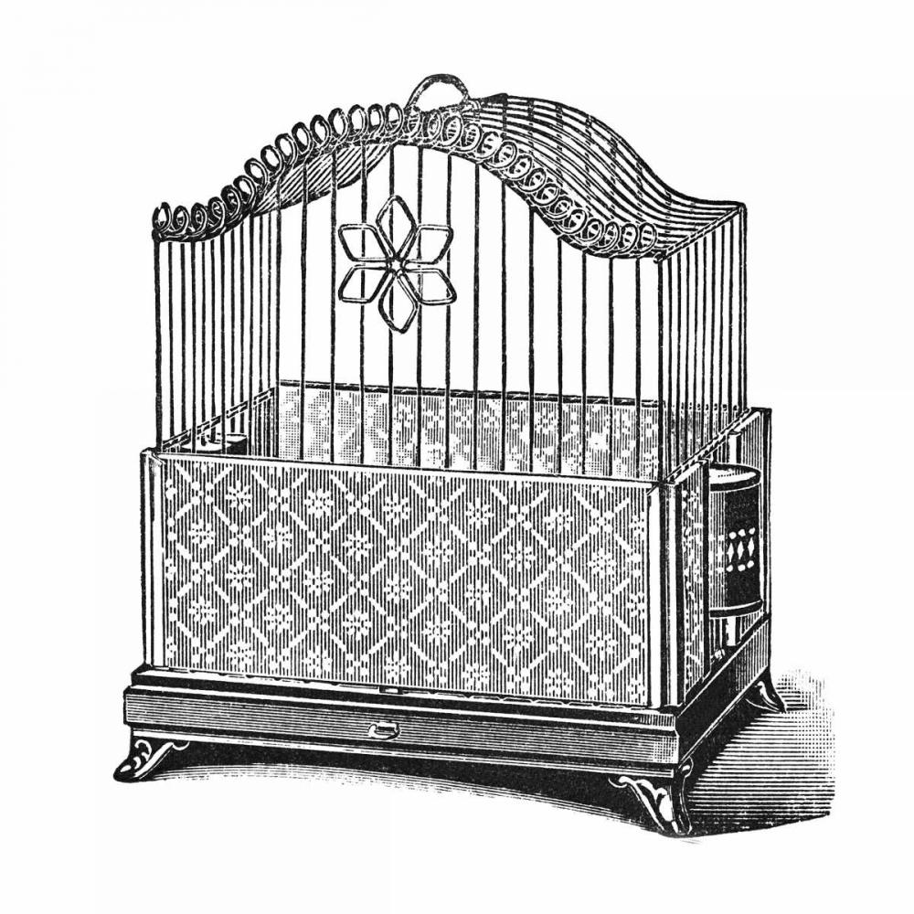 Etchings: Birdcage - Flower detail.