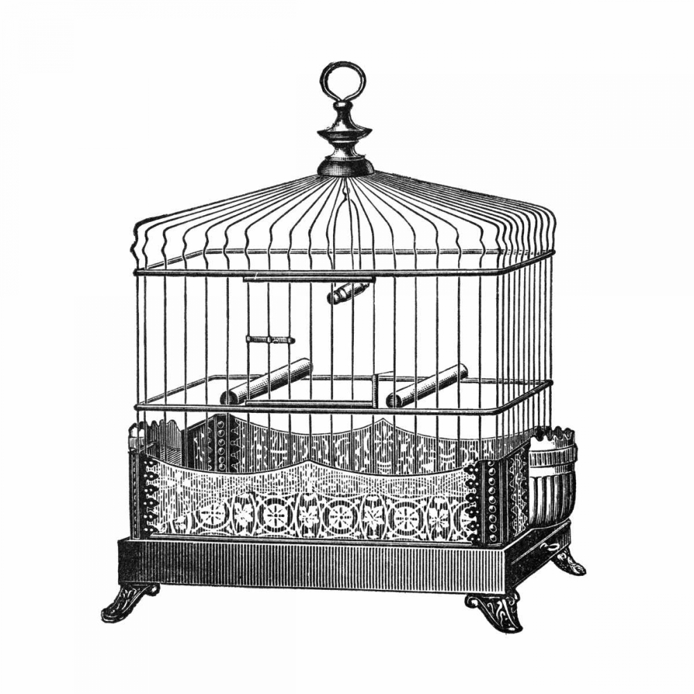 Etchings: Birdcage - Filigree base.
