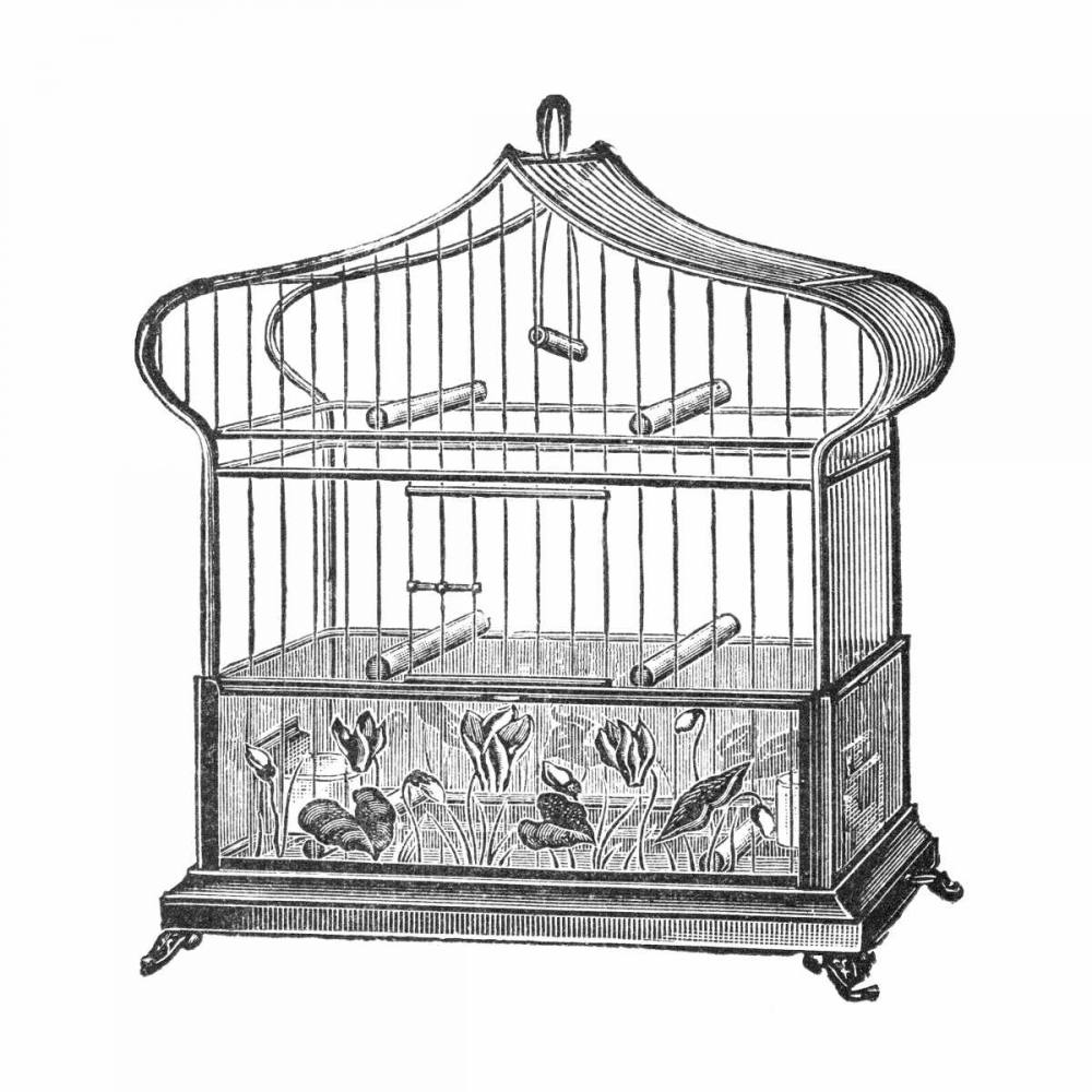 Etchings: Birdcage - Onion-peak top, floral base.