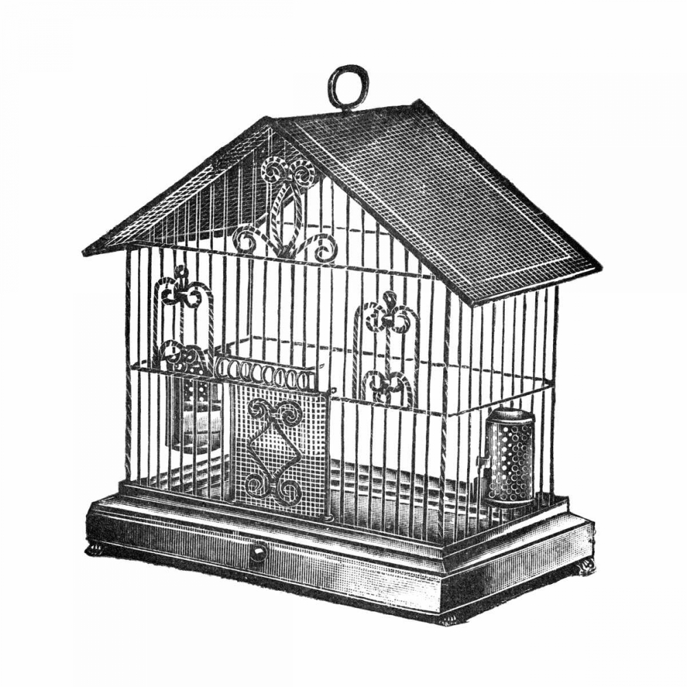 Etchings: Birdcage - Peaked top, twisted wire detail.