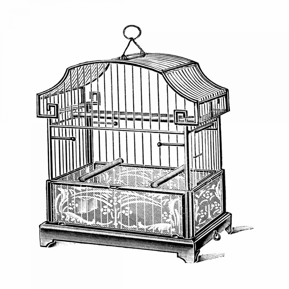 Etchings: Birdcage - Gable top, floral base.