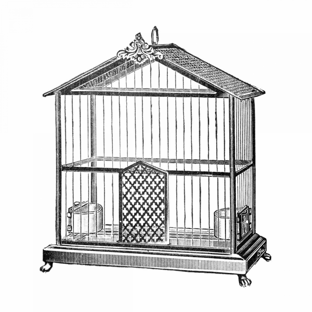 Etchings: Birdcage - Peaked top.