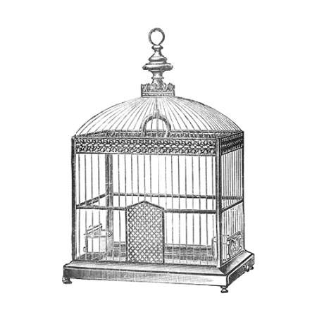 Etchings: Birdcage - Arched top, filigree detail.
