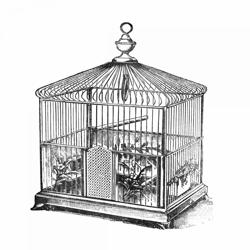 Etchings: Birdcage - Onion peak top, floral base.