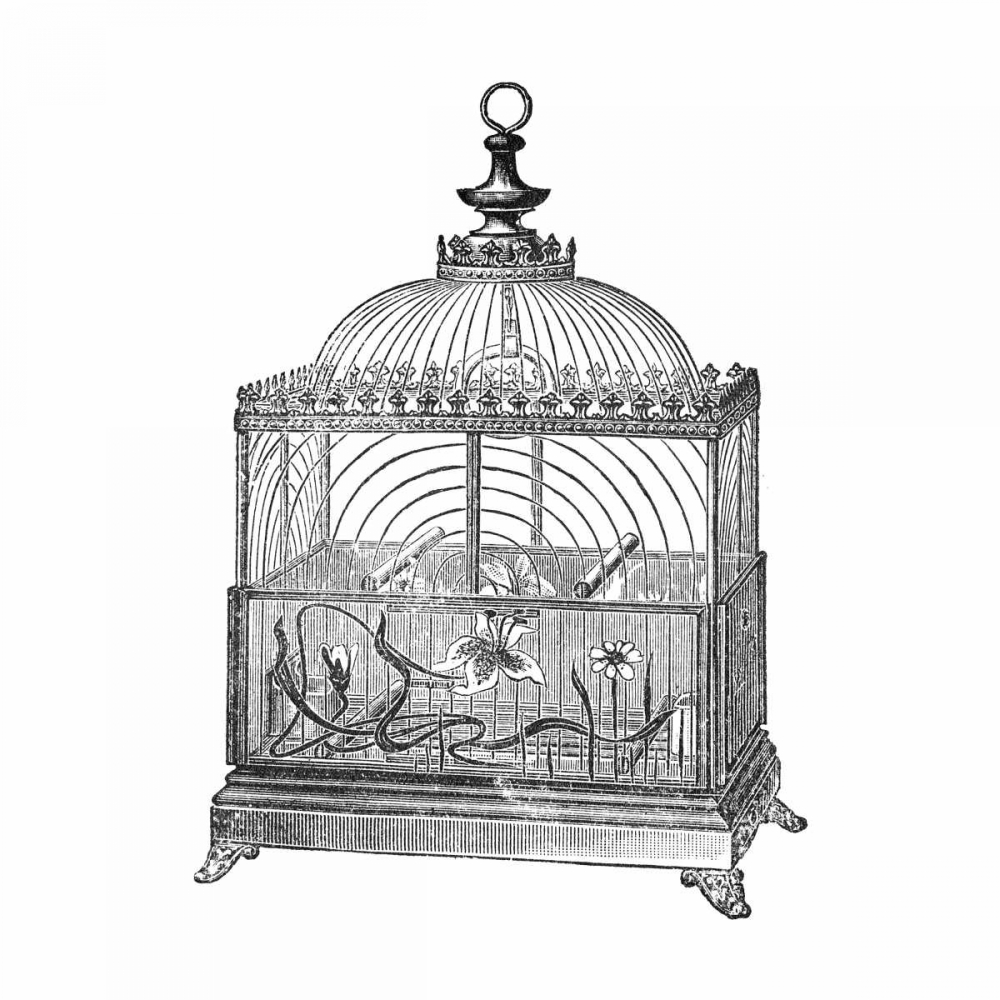 Etchings: Birdcage - Dome top, floral base, filigree detail.