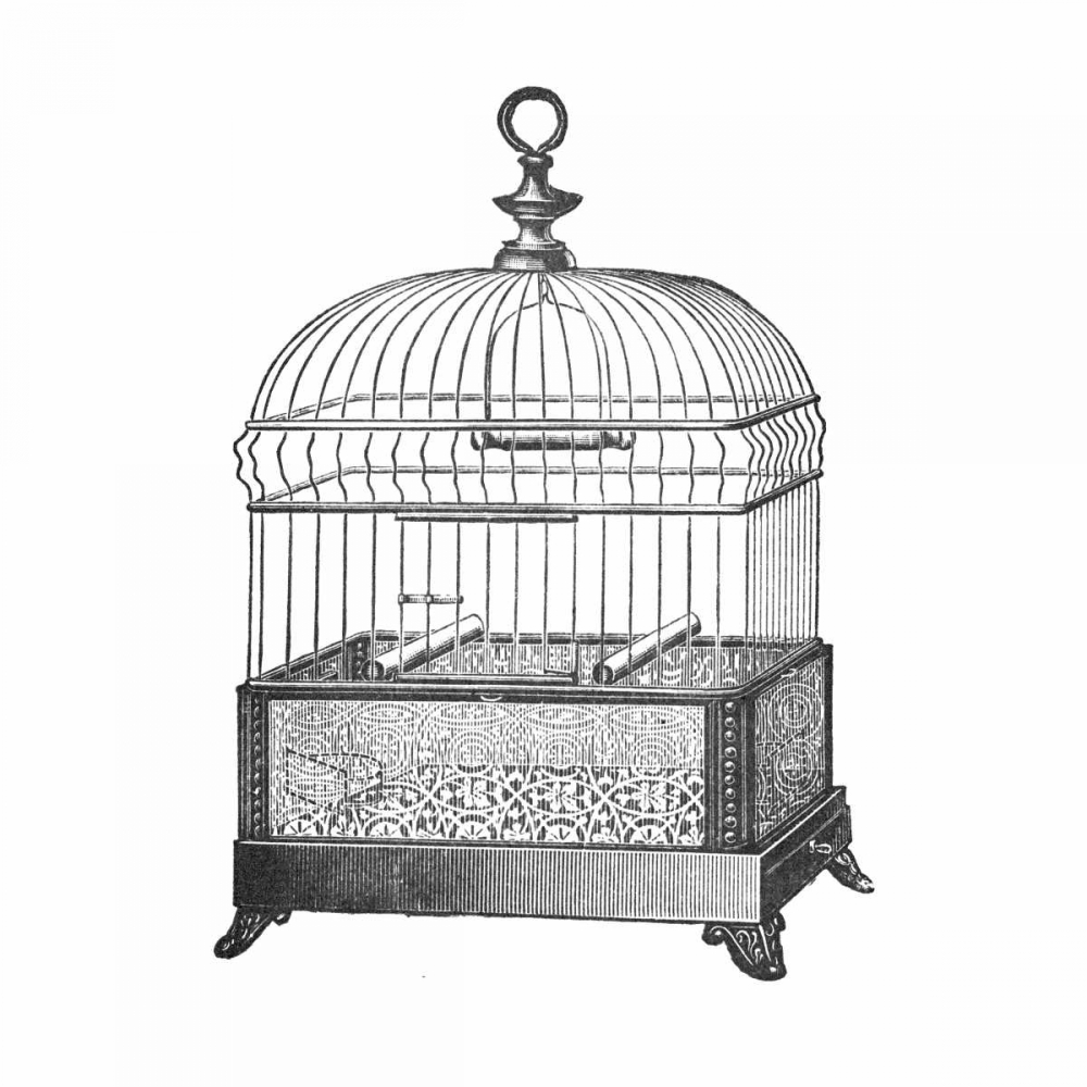 Etchings: Birdcage - Gable top, filigree base.