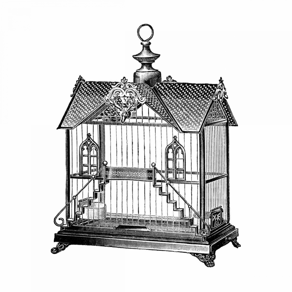 Etchings: Birdcage - Victorian house with steps.