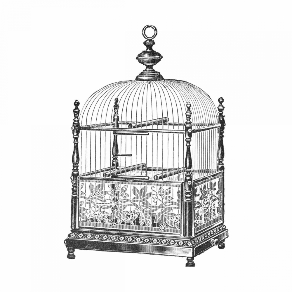 Etchings: Birdcage - Dome top, spindle corners, vine detail base.