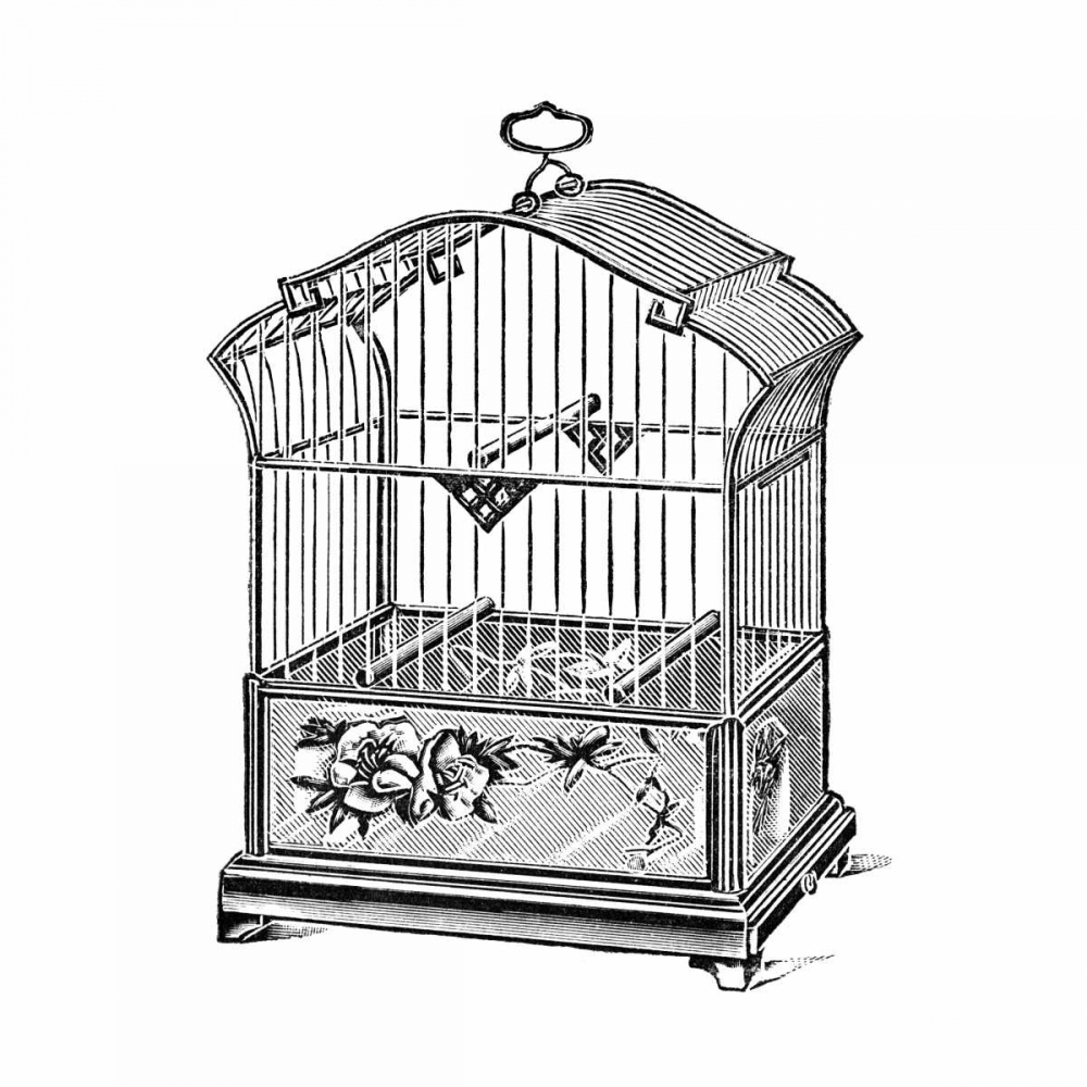Etchings: Birdcage - Gable top, rose base.