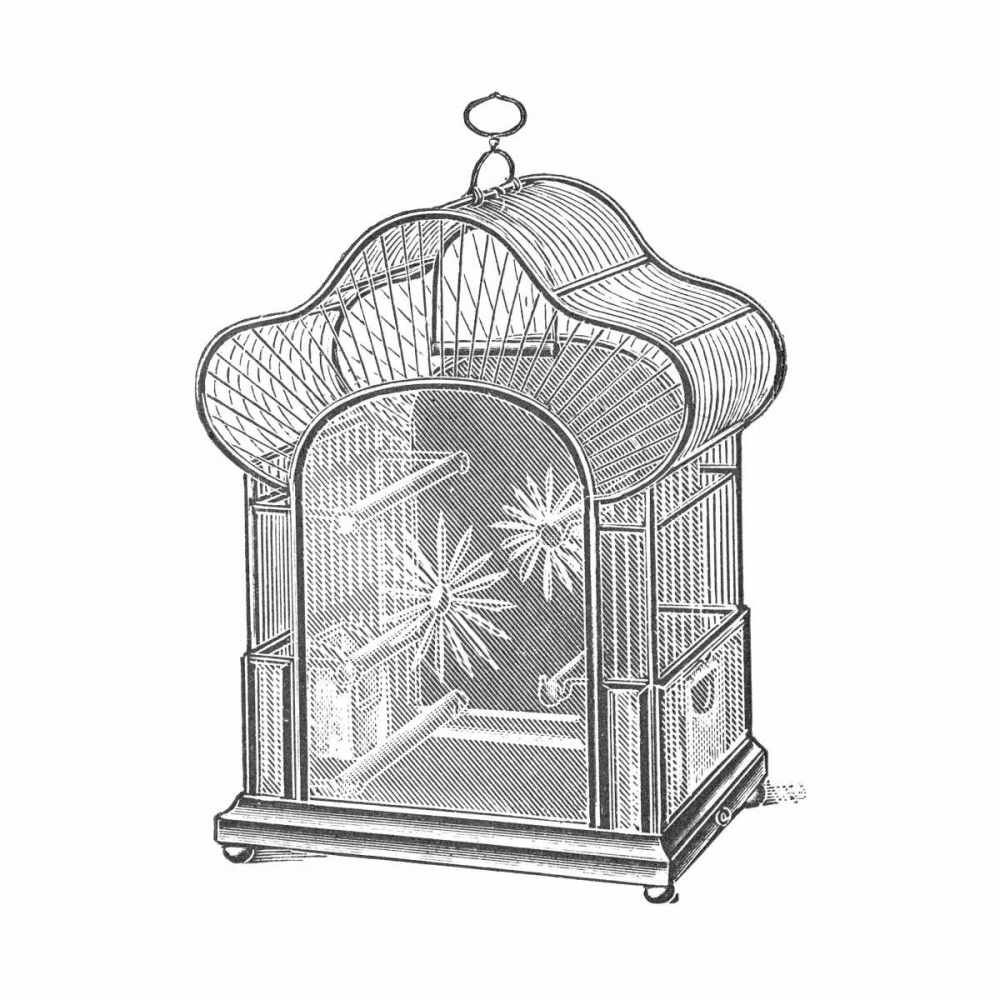 Etchings: Birdcage - Palmate top, daisy detail.