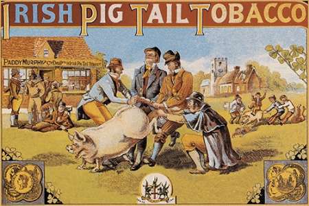 Pigs and Pork: Irish Pig Tail Tobacco
