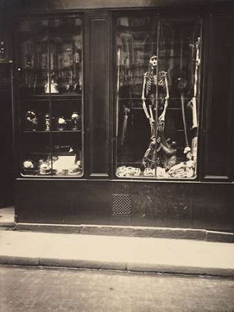 Zoologists Shop
