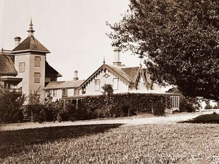Residence of Mr. Howard, San Mateo, California, with Olive Tree, 1863-1880