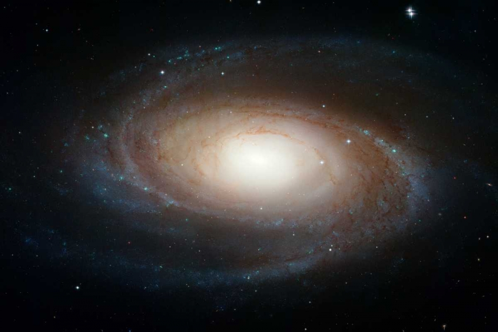 Spiral Galaxy M81