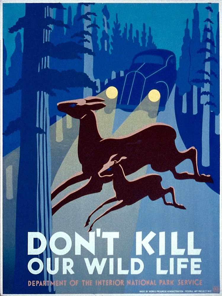 Dont kill our wild life