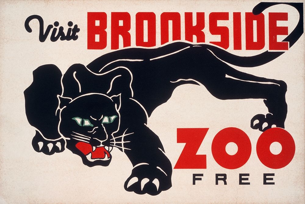 Brookfield Zoo - Panther