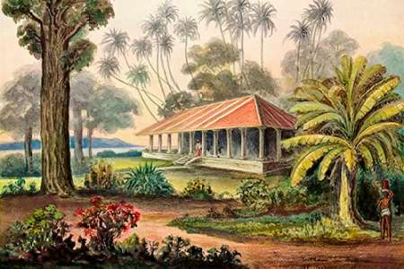 Rasthaus von Belligemma Sudkuste von Ceylon