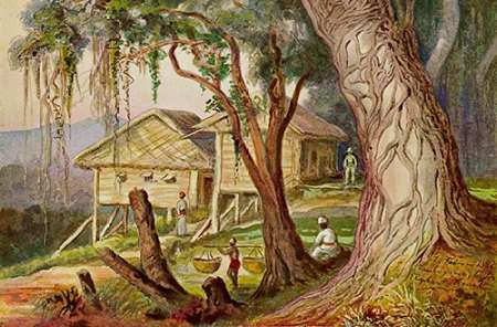 Elefanten-Corral Lambugana, Ceylon