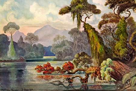 Urwald am Blauen FluÃ Kelany-Ganga, Ceylon