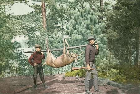 Hunting, Adirondacks, N.Y., 1898