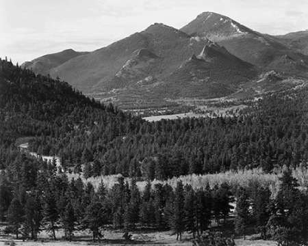 View with trees in foreground, barren mountains in background, in Rocky Mountain National Park, Colo