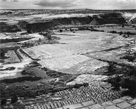 Corn Field, Indian Farm near Tuba City, Arizona, in Rain, 1941