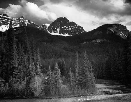 View of streamside trees and snow on mountains - Northeast Portion, Yellowstone National Park, Wyomi